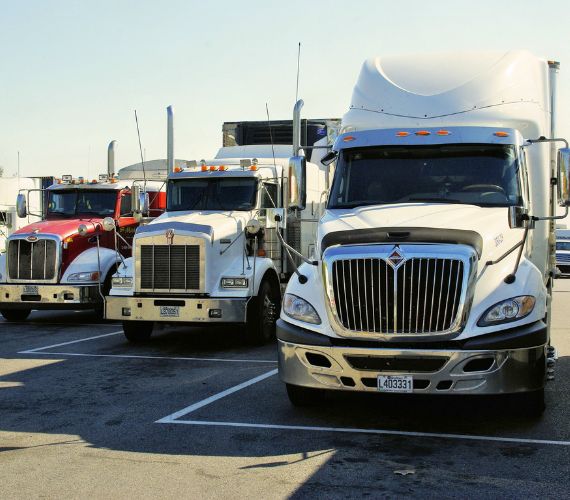 Energy Sector Leaders